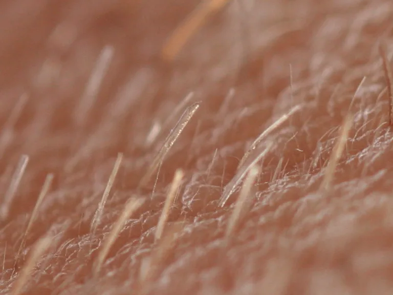 Macro van huid met fijne, lichte haartjes en enkele stuggere haren